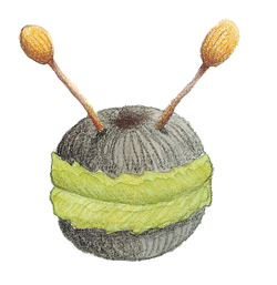 微信图片_20230216100951.png 微信图片_20230216100951.png