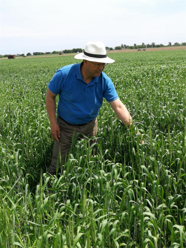 广西科学技术出版社 |  以种子为题，书丝路故事