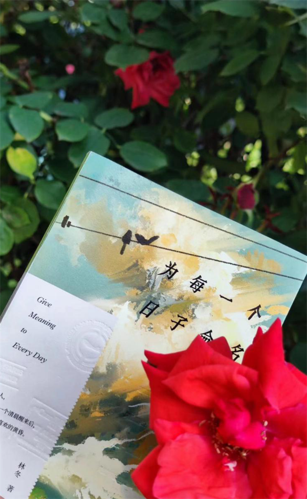 《为每一个日子命名》：人生中的每一天，都不应该被辜负