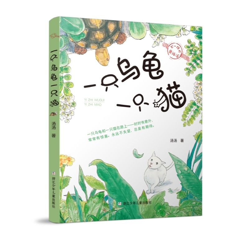 一只乌龟一只猫