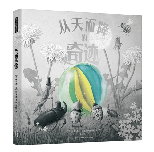 暖房子国际精选绘本：从天而降的奇迹