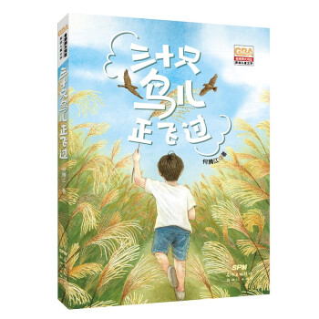 三十只鸟儿正飞过