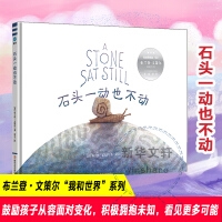 石头一动也不动