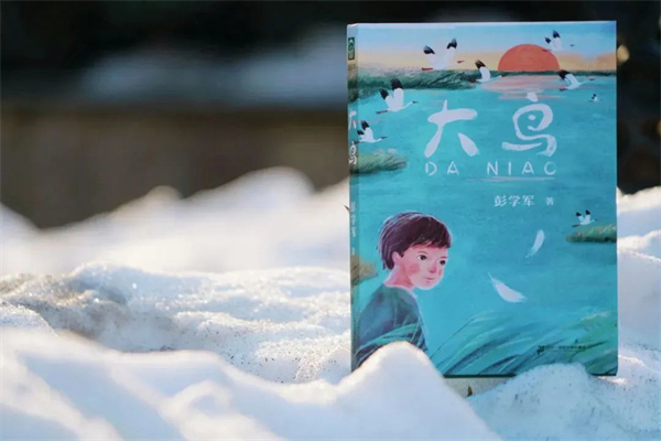 “新时代生态儿童文学的童年书写论坛暨《大鸟》作品研讨会”成功举办