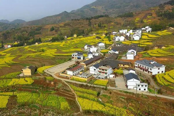 微信图片_20240124122516.jpg 微信图片_20240124122516.jpg