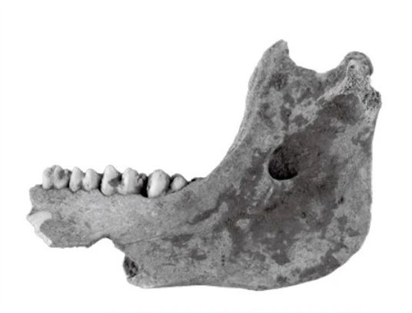 微信图片_20240425150855.jpg 微信图片_20240425150855.jpg