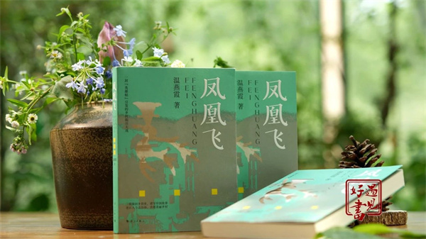 遇见好书丨《凤凰飞》凤凰乘风飞何处