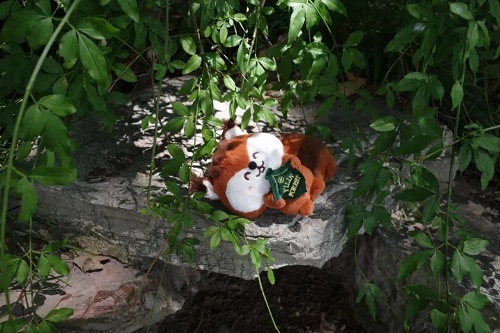 出版文创火爆！漓江出版社是如何做的？