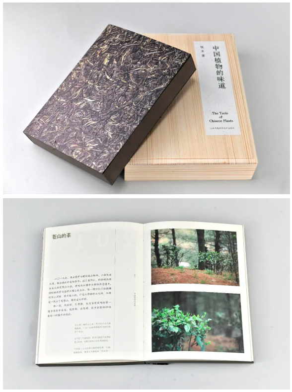 搜狗高速浏览器截图20241203152504.png 搜狗高速浏览器截图20241203152504.png